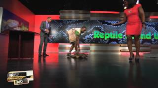 22/05/12 Arise Entertainment 360, Erik the Reptile Man