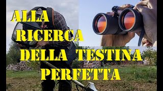 Stihl FS491 - Episodio 3 - TESTINA 