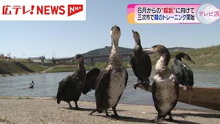 ４５０年の伝統を持つ三次の鵜飼　シーズンを前に「鵜慣らし祭」　広島・三次市