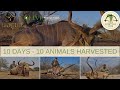 Hunting Adventure at Ranchero Safaris with Mr. Adam Adams | Olive Productions