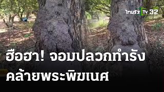 ฮือฮา! จอมปลวกทำรังคล้ายพระพิฆเนศใต้ต้นประดู่ | 16 เม.ย. 67 | ตะลอนข่าว