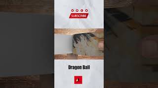 Dragon ball _ Movie Flipbook