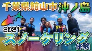 2021年度の千葉県館山市沖ノ島スノーケリング体験プログラムをレポートします！多くの熱帯魚やイカの赤ちゃんが登場！