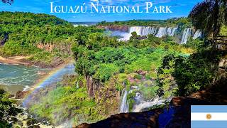 Nature & Animal Paradise! Full Experience of Iguazú Falls, Argentina: 8th Wonder of the World [#103]