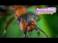 Review Mikroskop Mini - Kecil Tapi Padu