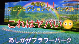 【リニューアル❗❗日本の四季「こころの故郷」新しいプロジェクションマッピング✨】あしかがフラワーパーク　2023年10月21日　今年もイルミネーションが始まりました😊