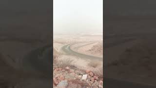 saudi arabia abha video snake 2022