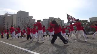 四日市よさこい（2017/11/26） 朱雀組「天の邪鬼 朱雀」（市民公園会場）