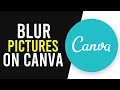 How To Blur Pictures on Canva (Quick Guide)