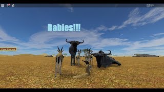 roblox wild savannah hyena videos 9tubetv