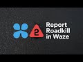 How to Report Roadkill on Waze — Quick & Easy Guide!
