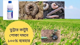 ভুট্টার কাটুই পোকা দমনে ১০০% ব্যবহার 100% effective in controlling corn borer#arabiagro #vutta