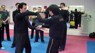 Wing Chun CRCA Chee Sau Concepts and Principles