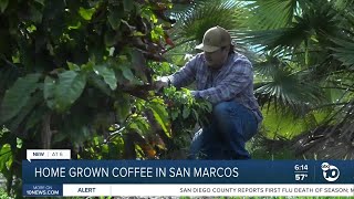 Cardiff resident a pioneer in California grown coffee