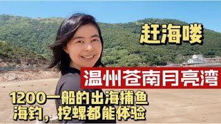 浙江温州苍南免费沙滩赶海，体验原生态渔民生活，收获还不少