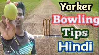 How To Bowl A Perfect Yorker In Cricket |  Yorker Bowling Tips In Cricket !!