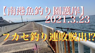 #96【南港魚つり園護岸】フカセ釣り連敗脱出⁉︎