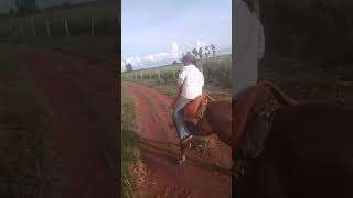 Égua louca🤪🤣 #cavalo #boiadeira #égua #louca #brincadeiras #fazenda #fypシ #shortvideo #shorts