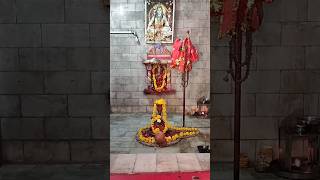 Mahakal 🔱 Shiva status 2023 🕉 Mahashivratri status #shorts #viral #shortsvideo #trending #mahadev