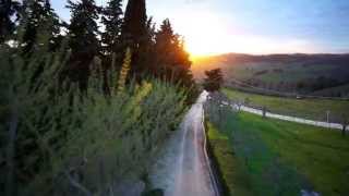 PoggiBonsi Tuscany wineyard