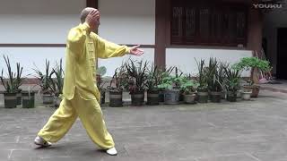 杨氏太极拳115教学（林墨根传）