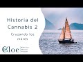 Historia del Cannabis 2 ¿Sabías como llego a América?