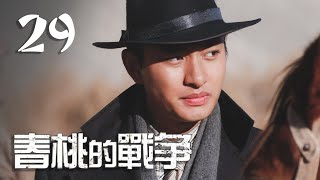 《春桃的战争》第29集 | 贾乃亮带大嫂私奔，马雅舒遭拐卖后竟成土匪反杀 | 马雅舒、贾乃亮、张恒主演女性近代传奇剧 | CHUN TAO WAR