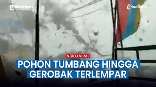 Detik detik Menegangkan Hujan Badai di Bogor, Billboard dan Pohon Tumbang hingga Gerobak Terguling