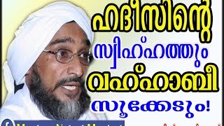 ഹദീസ് ളയീഫ്, മൗളൂഅ് - വഹ്ഹാബീ രോഗത്തിന്റെ ചികിത്സ !