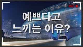 꽃이 아름다운 이유 ㅣ 예쁜 기준