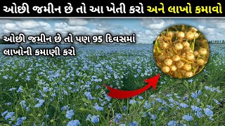 તમારી પાસે ઓછી જમીન હોય તો આ ખેતી કરો અને 95 દિવસમાં 1 લાખની કમાણી થઈ જશે