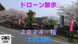 ドローン散歩（４K）．．．《鹿児島県鹿屋市上高隈町》～２０２４・桜　大隅湖畔～