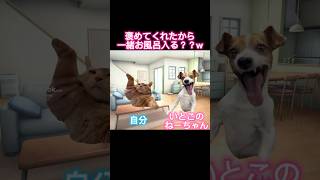 いとこのねーちゃんとお風呂に入った話#猫ミーム #shorts