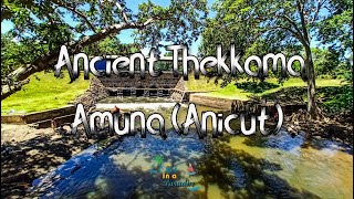 Thekkama Anicut - යෝධ වැවට ජලය සපයන තේක්කම අමුණ