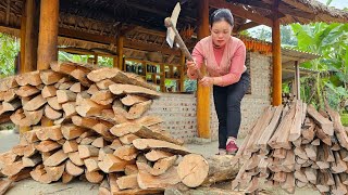 The Girl Collects Firewood for Storage - Harvests Eggplants to Sell at the Market  | Trieu Mai Huong