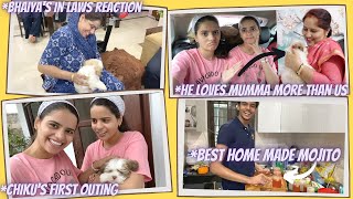 Now Chiku loves mumma more then us 😔 | The Twin Sisters Vlogs