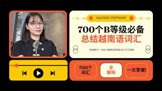 10分钟掌握700个越南语B等级词汇！轻松提升越南语水平 🇻🇳📚 700 từ vựng tiếng Việt trình độ B