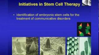 Deafness: Spotlight on Stem Cell Research - Ebenezer Yamoah