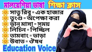 নতুনদের জন্য মালয় ভাষা শিক্ষা।। Malaysian language learning।। মালয়েশিয়া ভাষা শিখুন।। Education Voice