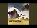 Soul of Curtain