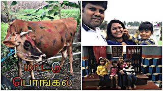 We celebrated Mattu Pongal in My Village | கிராமத்து மாட்டு பொங்கல்| Tamil Vlog