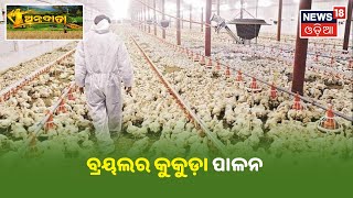 Annadata I ବ୍ରୟଲର କୁକୁଡ଼ା ପାଳନ ( Broiler Farm )କରି ସଫଳତା ପାଇଥିବା ଚାଷୀ Sibasankar Samal