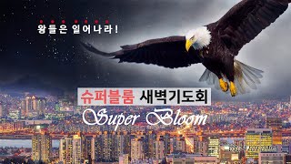 2/20 너는 나의 입이 될 것이라(렘15:19) 장소정 목사