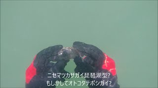 琵琶湖で素潜り2020年7月19日