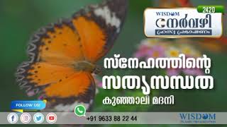 സ്നേഹത്തിൻ്റെ സത്യസന്ധത | KUNHALI MADANI | Nervazhi | നേർവഴി ഹ്രസ്വ പ്രഭാഷണം | Episode 2420