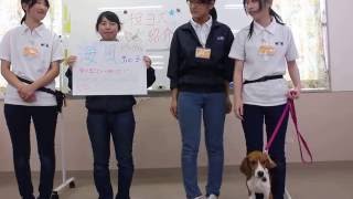 【担当犬を紹介します】海風（みかぜ）編・動物・学校・新潟・長野