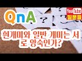 흰개미와 일반 개미는 서로 앙숙인가?