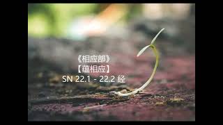 《相应部》| 蕴相应 SN 22.1 - 22.2 经（Part 1）