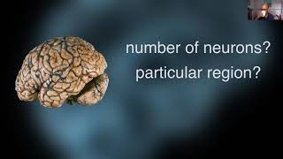 FINE Noon - What in the world is Consciousness? - Anil Seth - 20 April 2020