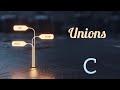 UNIONS | DAY - 35 | C PROGRAMMING LANGUAGE TUTORIAL 
